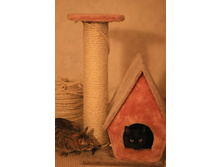 ������ �������� � ��������� ��������