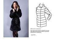 ��� -����.jpg