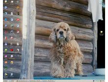 ���. ����