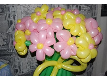 550 ��������e.jpg