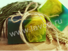 ���� ��������� �����.jpg