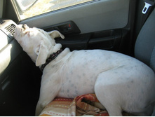 ����� �����..