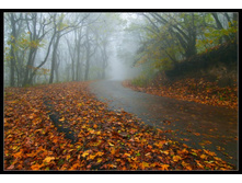 ������� �����...