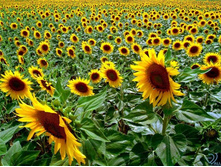 �������� :))))))))