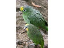 ������ ����������)))