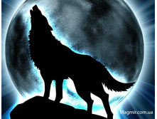 � �������������� �������������� ����� ����� ��� ��������������� ������ � ������� ������������ ������ �������, ���� ����� � �������������� �������.