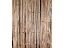 ���� ������ ��� �14