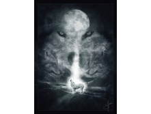 �� ���� ����� � ���� ���� �� ������