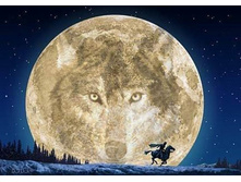 ���� ���� ����, ����� ����� ����...