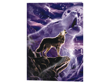 ���� ������� ������ ������� ������� �� ����� �����..