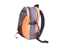 ������ ���������