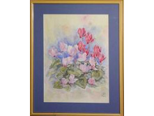 ���������