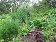 ������� ������ 1�.jpg