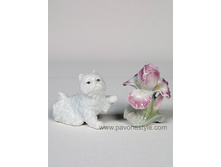 ����, �����. ���� 220 ���.