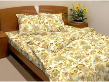 ������ ��������