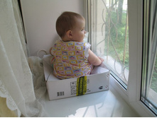 ������ ����, ������ �����