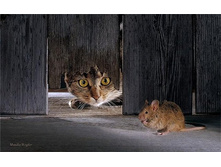 �����-�����