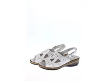 81062-8-12 (��12).jpg