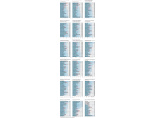 ���� ������ ������ 2008