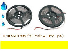 ����� S*MD 50*50/30  Yellow  IP*65  (5�).JPG