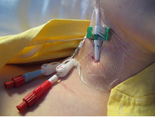 ������� ������ ����� ���� �� ��� � ����� ����� ̣�����