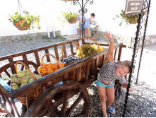 ����� ����� �������