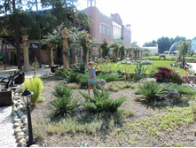 ����� ����� �������