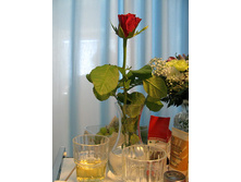 ���� ������. ������ ������� � ��������� ������ � ��������� �������� �� ������� :)