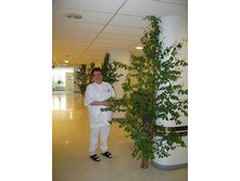 ���� �� ������� ���������