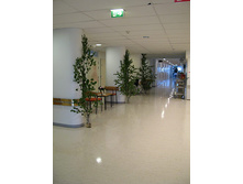 ����� ������� �������� �� �������