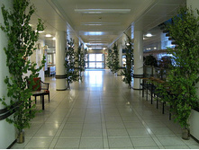 ����, ���������� ���������. �������. ����