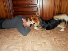 ����������� 233.jpg