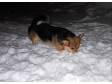 ����������� 247.jpg