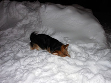 ����������� 248.jpg