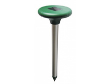 ���� - 41. ���� 850 ���