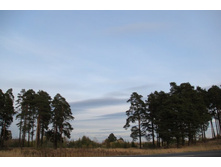 ��� � ��� �� �������� ����