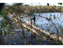 ��� ���� �� ���� �����?