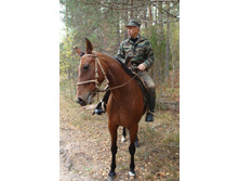 ��� �� ��� ����� ��������?