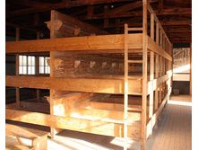 ���������� �����. �����.JPG