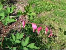 �������� ��������� �����.JPG