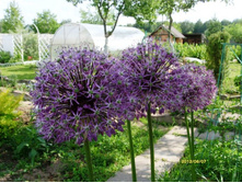 ��� ���..JPG