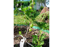 ����� ��������� � ��������.JPG