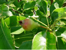 ������ �����.JPG