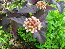 ������������� .JPG