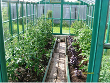 �������� � ��������.JPG