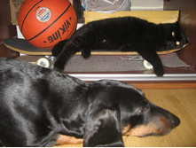 ����������� 006.jpg