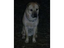 ����������� 011.jpg