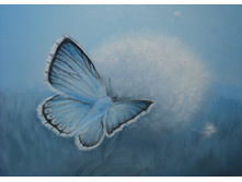 ����������� 853.jpg