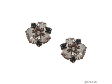 2005****1860 ������