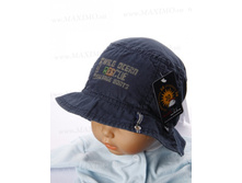 51-55, 378���.